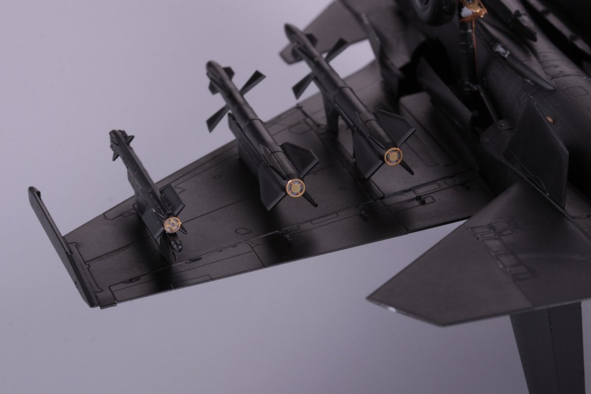 Eduard 73580 Su-33 Flanker D ZVEZDA 1/72 – immagine 5