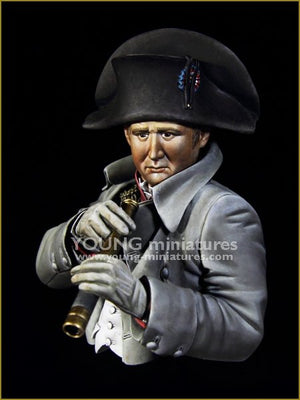 Young Miniatures YH1846 NAPOLEON at Austerliz 1/10 – image 3