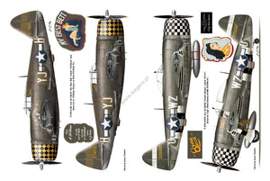 Kagero 12017 Thunderbolts of the U.S. 8th Army Air Force March 1944 – May 1945 EN – zdjęcie 4