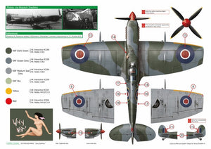 Exito ED72003 DECALS Sexy Spitfires - Supermarine Spitfire LF Mk Vb - VIII - IXe 1/72 – immagine 6