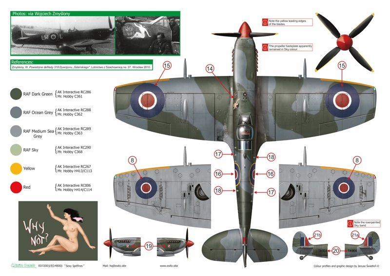 Exito ED72003 DECALS Sexy Spitfires - Supermarine Spitfire LF Mk Vb - VIII - IXe 1/72 – immagine 6