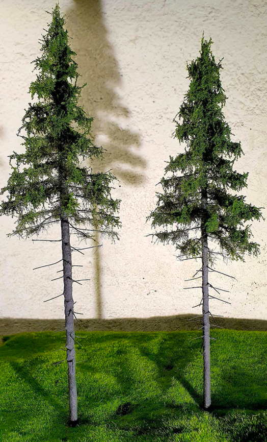 FREON SG1 Mountain Spruce - Świerk Wysokogórski Większy 26/28 cm 3 sztuki – imagen 4