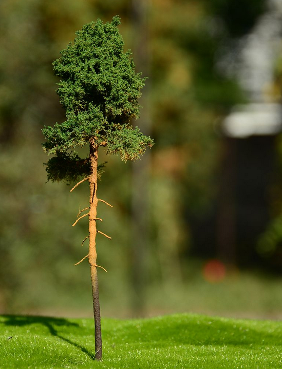 FREON SOM3 Young pine - Sosna młoda 8/12 cm