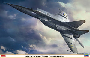 Hasegawa 07471 MiG-25RBT Foxbat &amp;#39;World Foxbat&amp;#39; 1/48