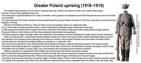 ToRo Model 35F117 - Greater Poland Forces 1919 - Lt Col Wladyslaw Anders Commander of the 1st Greater Poland Uhlan Regiment, Babruysk area, summer 1919 1/35 – immagine 6
