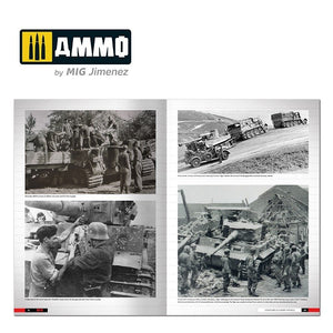 Ammo of Mig 6273 Tigers – Modelling the Ryefield Family (English) – immagine 3