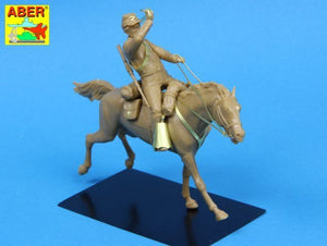 Aber 35249 8th Pennsylvania Cavalry 89th Regiment Pennsylvanian Volunteers 1/35 – zdjęcie 4