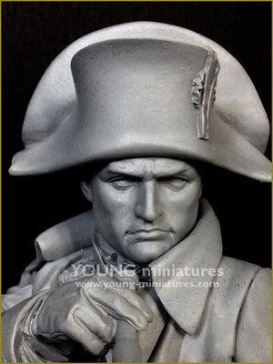 Young Miniatures YH1846 NAPOLEON at Austerliz 1/10 – image 8