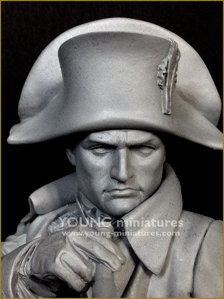 Young Miniatures YH1846 NAPOLEON at Austerliz 1/10 – image 8