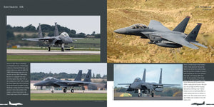 HMH Publications DH-026 Boeing F-15 E/K/SG Strike Eagle - Aircraft in Detail 026 (English Version) – immagine 10