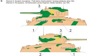 ToRo Modèle 35D30 - Shermans polonais en Italie, 2e Corps polonais 1945 vol.2 1/35 – image 3