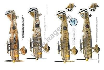 Kagero 12022 Crickets against Rats. Regia Aeronautica in the Spanish Civil War 1936-1937 vol. I EN – immagine 4