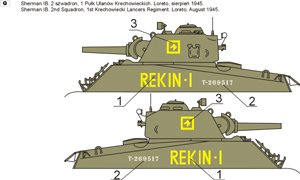 ToRo Model 35D48 - Polish Shermans in Italy, 2nd Polish Corps 1945 vol.3 1/35 – immagine 3