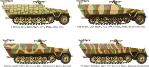 Das Werk DW16005 Sd. Kfz. 251/1 Ausf.D 1/16 – immagine 2