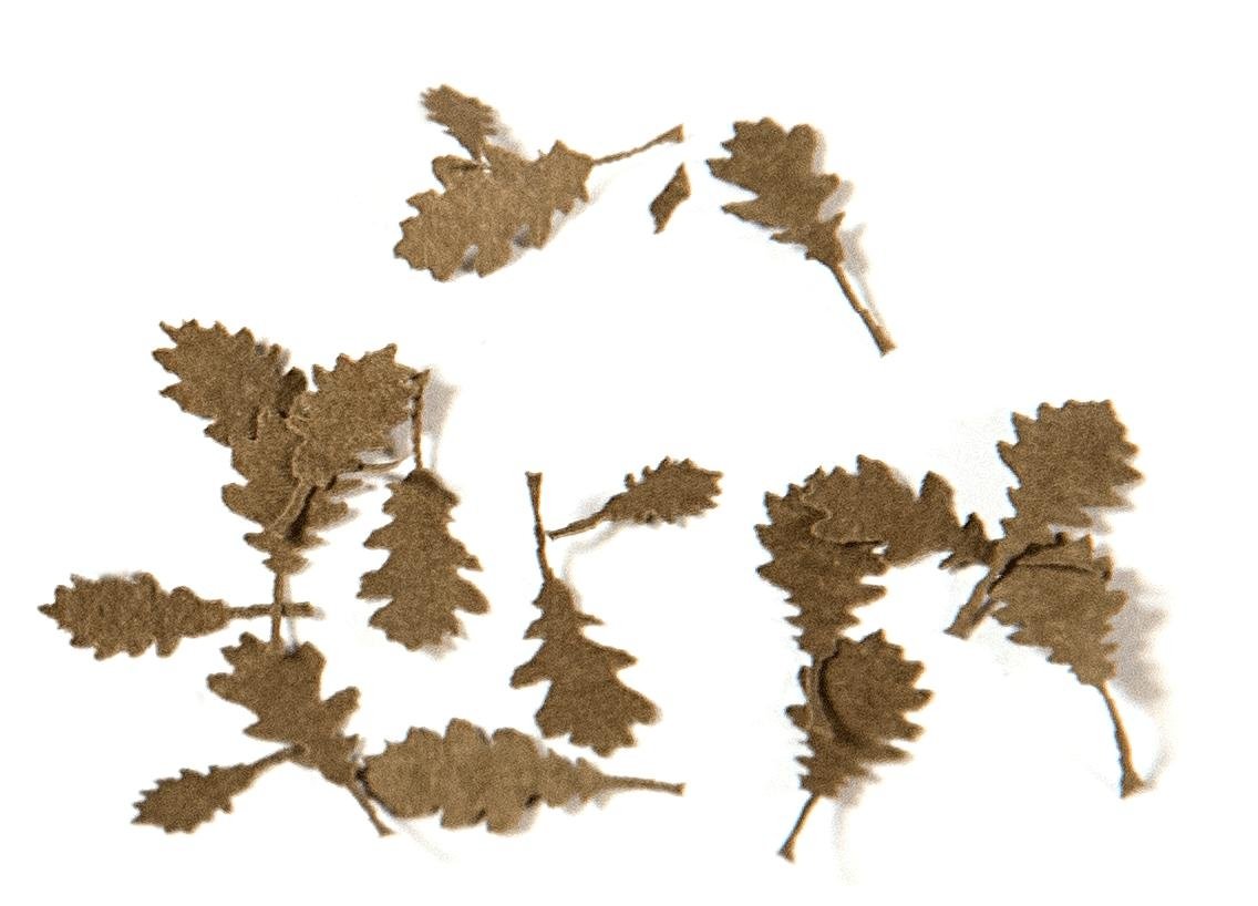 AK Interactive AK8107 Oak Dry Leaves (TOP QUALITY) 1/35 – Bild 2