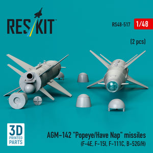 RESKIT RS48-0517 AGM-142 &amp;quot;Popeye/Have Nap&amp;quot; missiles (2 pcs) (3D Printed) 1/48 – immagine 2
