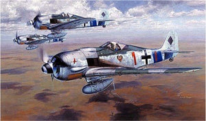 Hasegawa ST21 FOCKEWULF Fw190A-8 1/32 – immagine 2