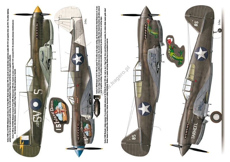 Kagero 3040 Curtiss P-40 vol. II EN – image 5