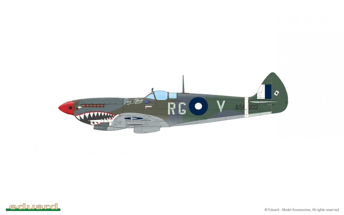 Eduard 84154 Spitfire Mk.VIII Weekend edition 1/48 – Bild 7
