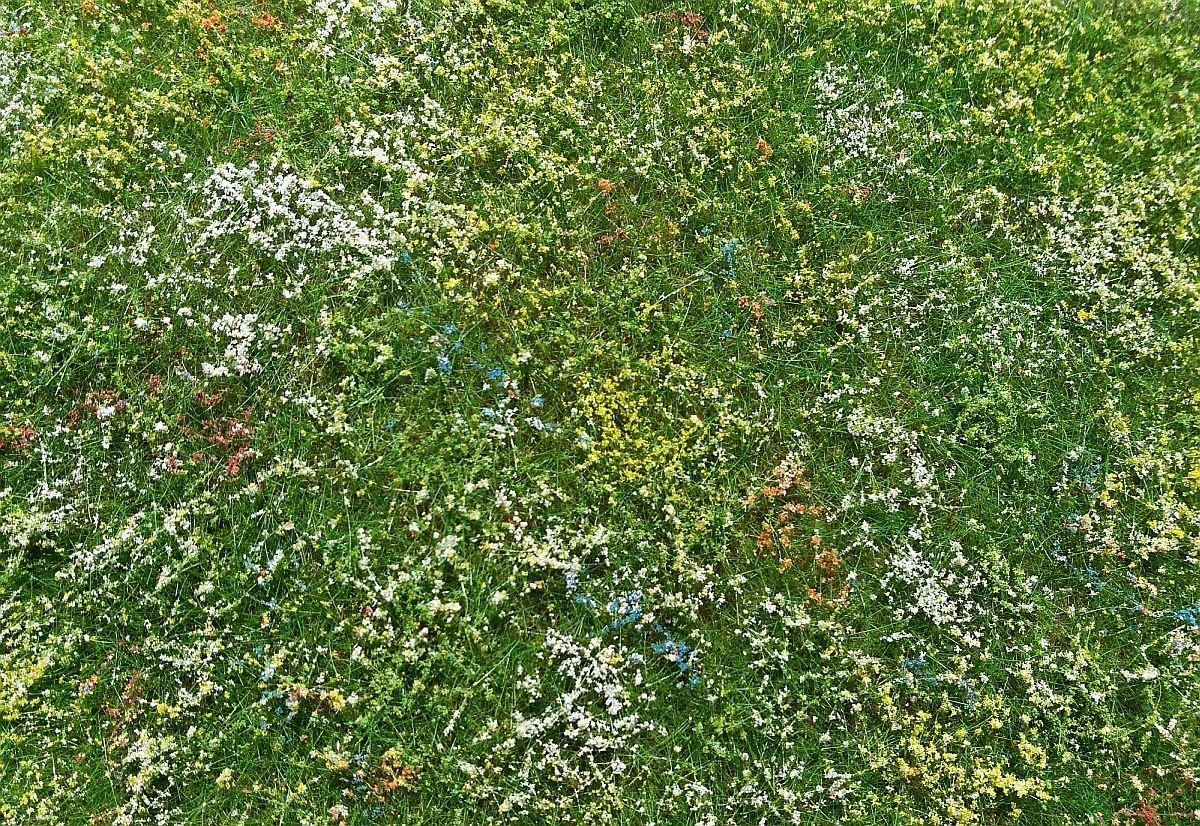 Model Scene F562 Blooming meadow - early summer – image 2