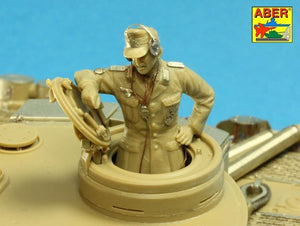 Aber 35K26 Pz.Kpfw. VI Ausf.E ( i.Kfz.181) Tiger I – s.PzAbt. 501 in Tunisia 1/35 – immagine 18