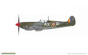 Eduard 8287 Spitfire HF Mk.VIII 1/48 – immagine 6