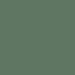 PACTRA A31 FS 34092 Vert Foncé