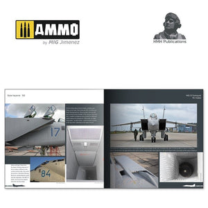 HMH Publications DH-012 Mikoyan MiG-31 Foxhound (English VErsion) – immagine 3