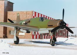 Revell 04686 DORNIER DO335 PFEIL 1/48 – imagen 2
