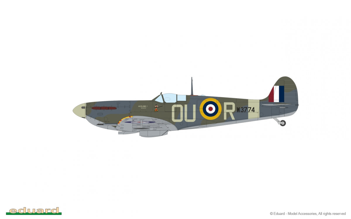 Eduard 84198 Spitfire Mk. Vb early 1/48 – immagine 16