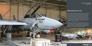 HMH Publications DH-037 Grumman F-14 Tomcat - Aircraft in Detail 037 (English Version) – immagine 7
