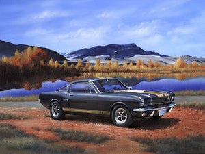 Revell 07242 Shelby Mustang GT 350 H 1/24 – zdjęcie 2