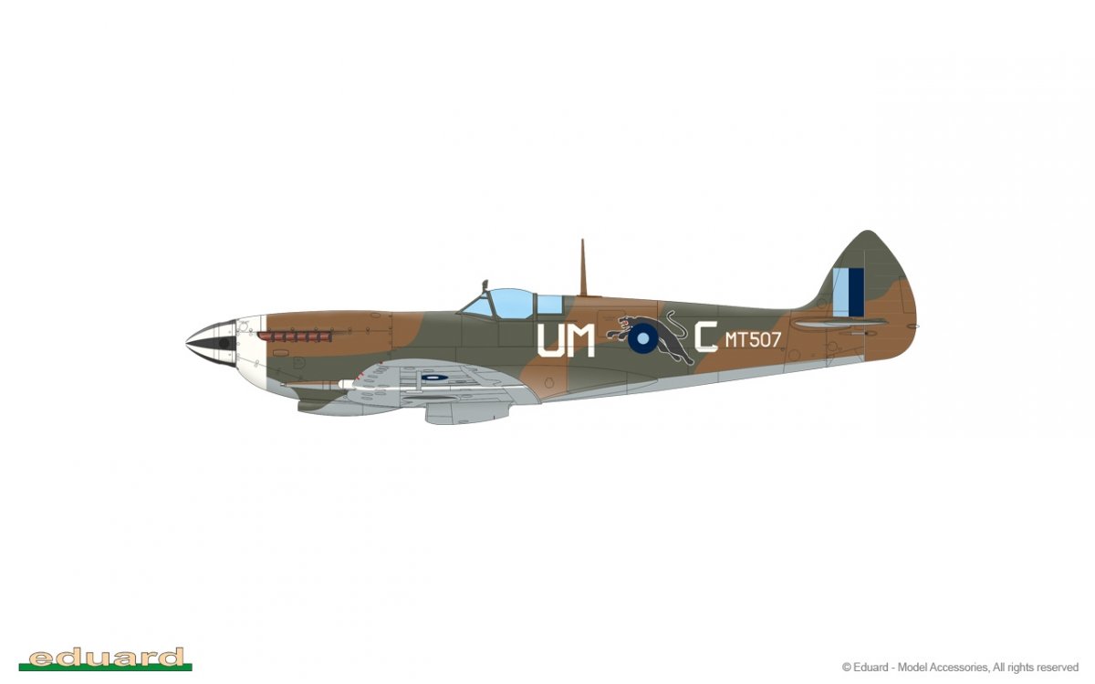 Eduard 84154 Spitfire Mk.VIII Weekend edition 1/48 – Bild 5
