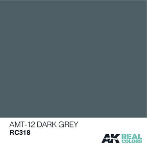 AK Interactive RC318 AMT-12 GRIS FONCÉ 10ML – image 2