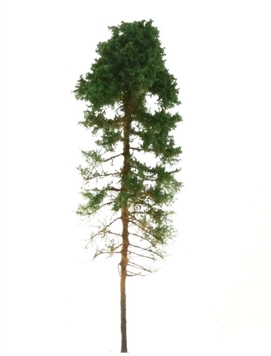 Freon SOB2 Pine Tree - Sosna obrzeżna, wysokość 14/16cm