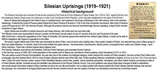 ToRo Model 35F123 Powstanie Śląskie - Powstaniec w Kolejarskim Mundurze / Silesian Uprising 1921 Insurgent in railway uniform 1/35 – immagine 3