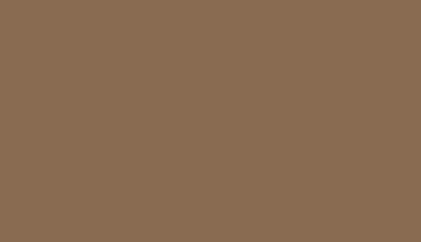 Lifecolor UA473 - Dark Brown 22ml