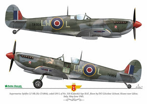 Exito ED48003 DECALS Sexy Spitfires - Supermarine Spitfire LF Mk Vb - VIII - IXe 1/48 – Bild 4