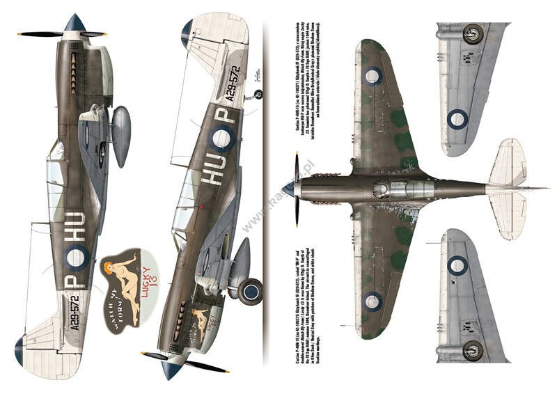 Kagero 3040 Curtiss P-40 vol. II EN – image 3